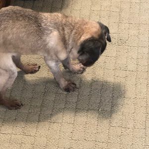 Meet your Posher, Aric